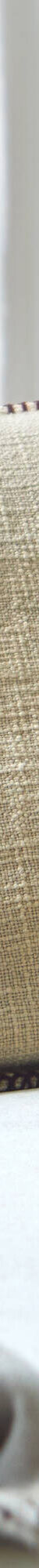 Coussin uni coton texturé (taupe) Coussin uni coton texturé (taupe)